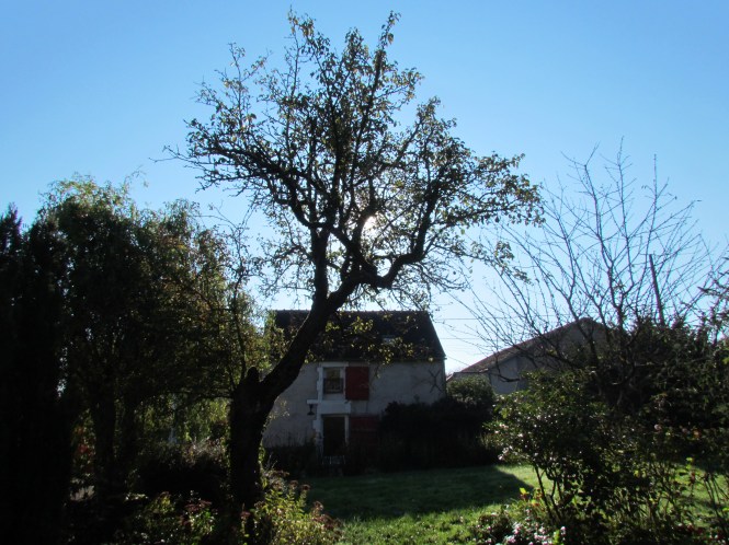 Former stable, remodeled into a vacation cottage, available for rent