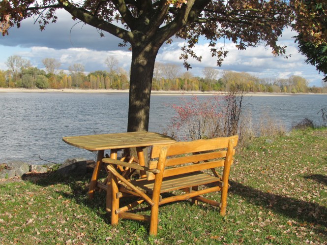 Landscape of my childhood. Rhine River with fall colors, Germany.